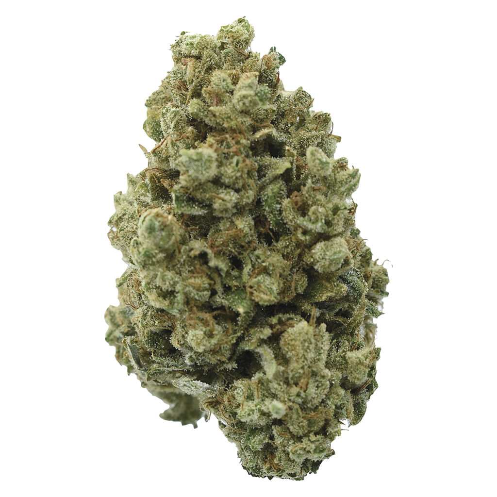 Color Cannabis : Pedro's Sweet Sativa
