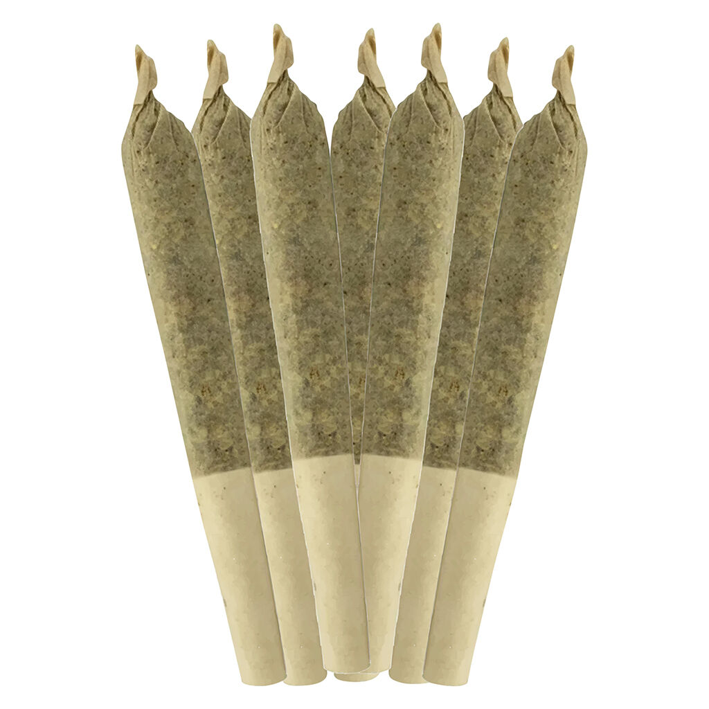 Sheeesh! : Dia De Los Muertos Pre-Rolls (7x0.5g)