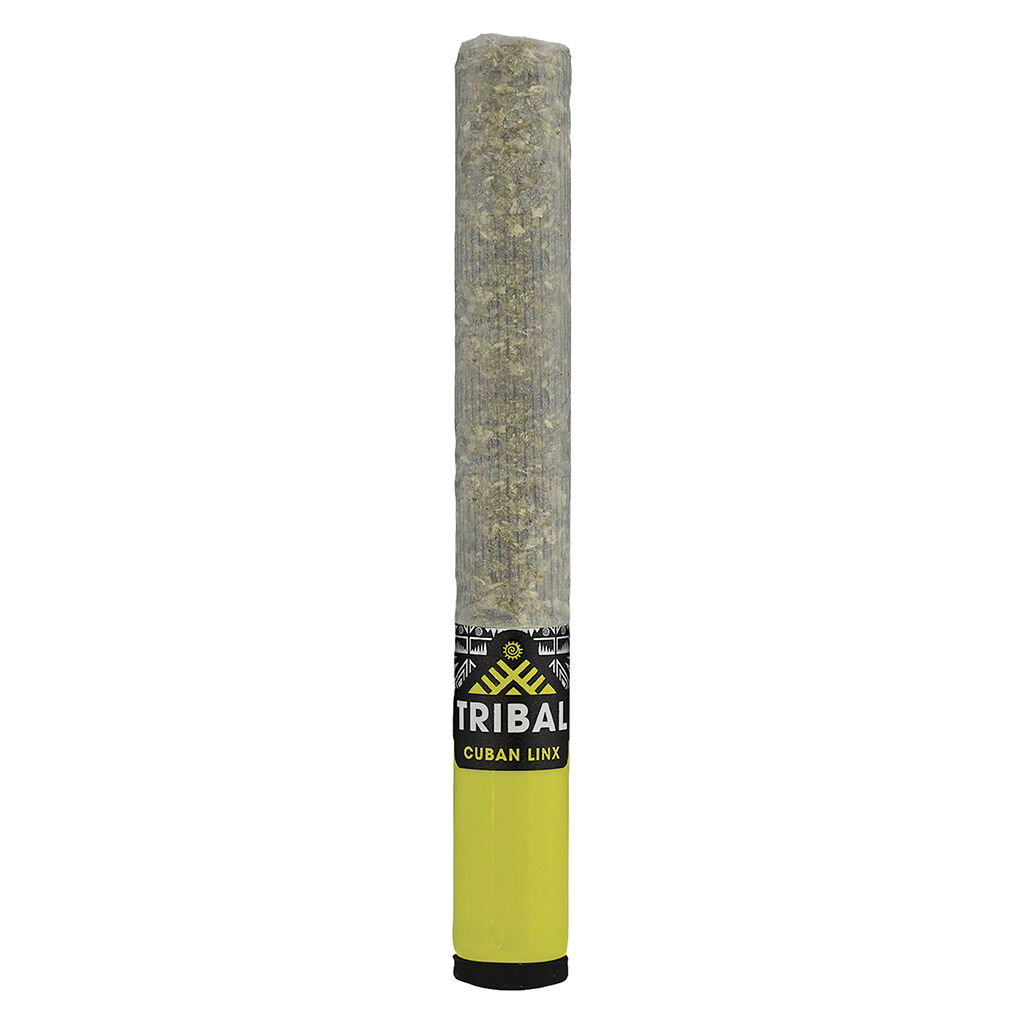 Tribal : Cuban Linx Pre-Roll