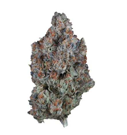 1964 : Sour Tangie