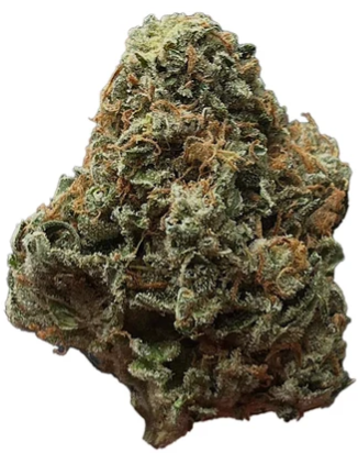 High Quadz : Green Congo