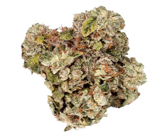 Bonus Bud : Platinum Pink Banana