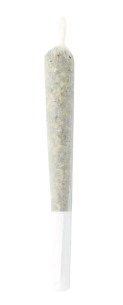 Sitka Legends : Animal Tsunami Pre-Rolls - Sitka Legends : Animal Tsunami Pre-Roll (1G)