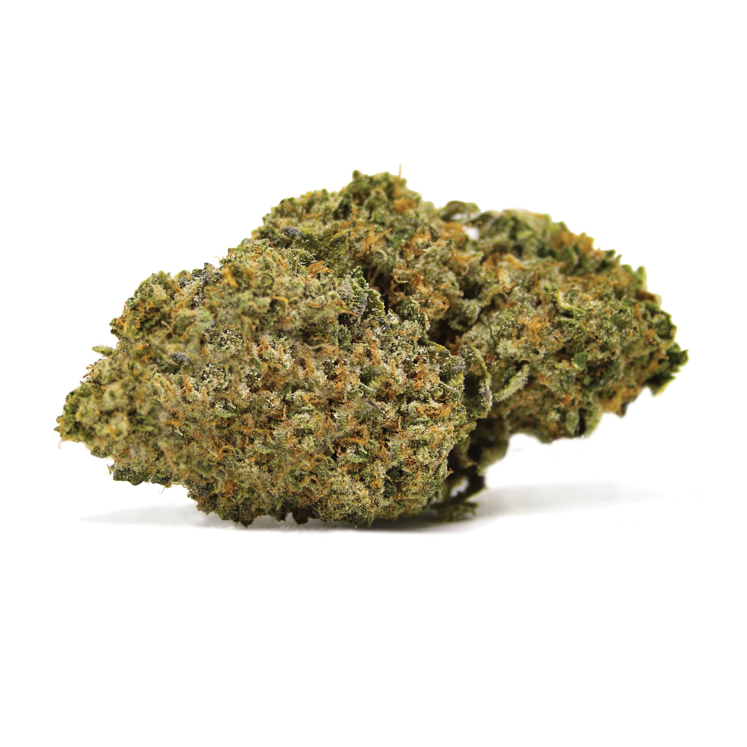 SPINACH : ROCKSTAR KUSH