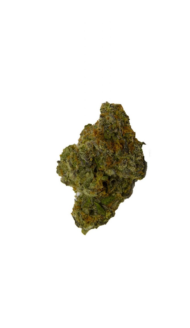 Silver Fox Supply : Granddaddy Bruce