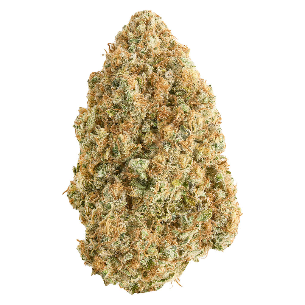 Broken Coast : Blue Dream