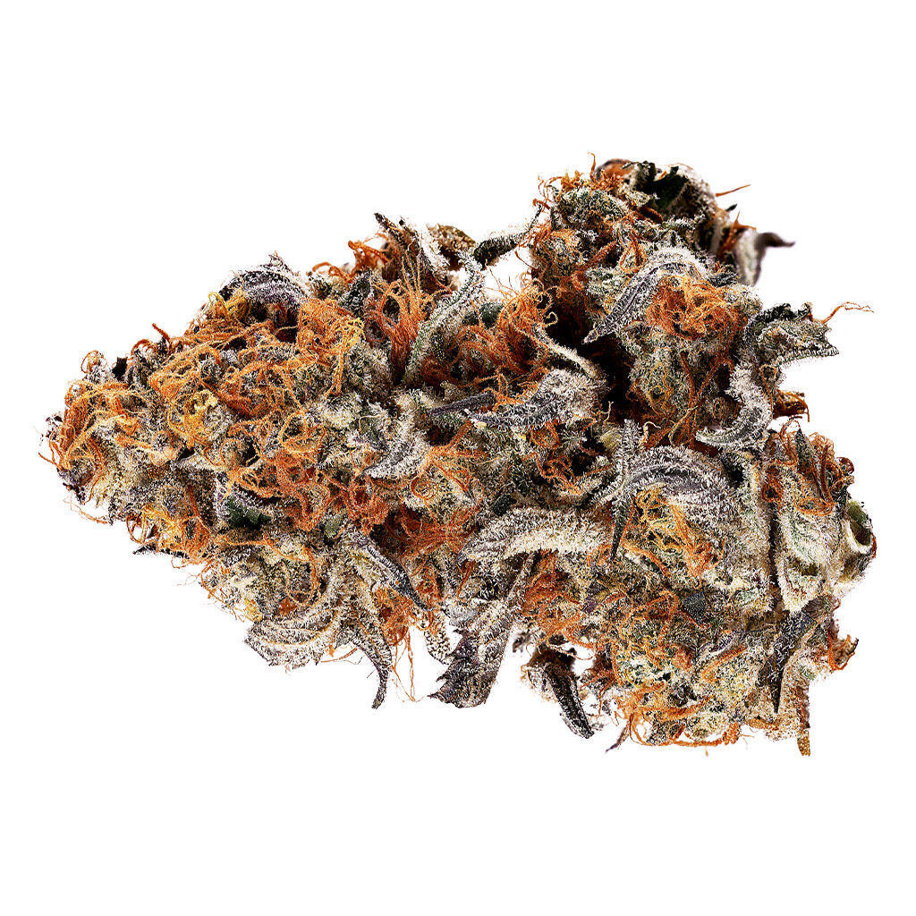 Tribal : Gelato Mint