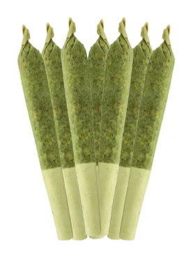 Sheeesh! : Key Lime Pie Pre-Rolls (7x0.5g)