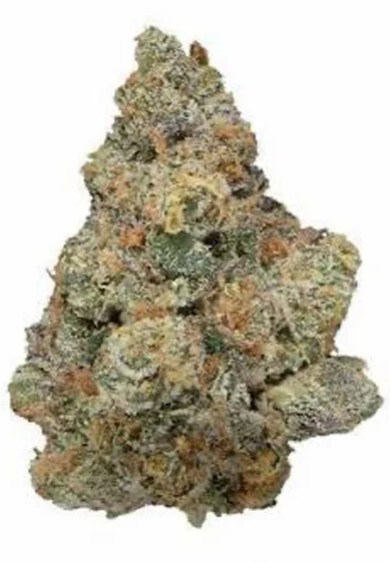 Grow & Blaze Cannabis : GMO X MK Ultra