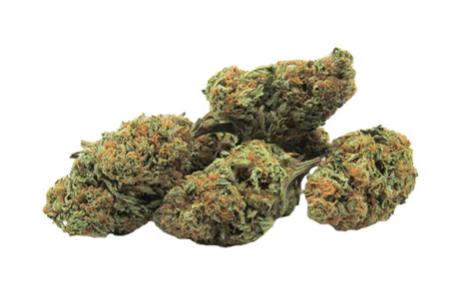 Green Mountain Health Alliance : Gorilla Zkittlez Dried Flower