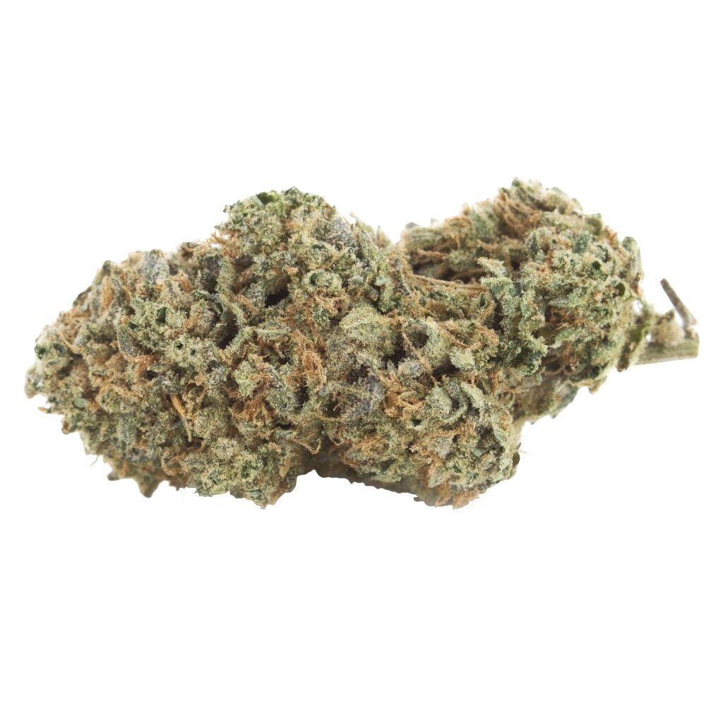 Vertical Cannabis : COLD CREEK KUSH