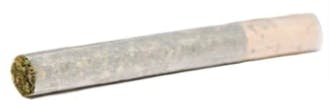 Seventails : Sevens-Umpqua Pre-Rolls - Seventails : Sevens Umpqua Pre-Roll (1x1g)