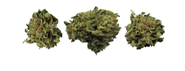 Weathered Islands Craft Cannabis : Coastal Fog Lto