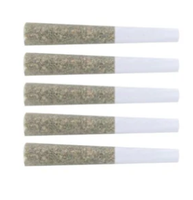 The Loud Plug : Exotic Gas Pre-Rolls (5pk)