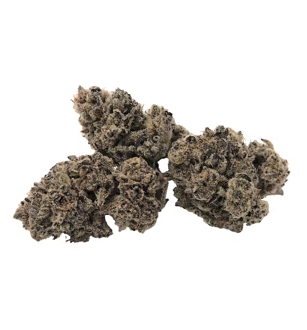 Full Sesh : PURPLE GELATO PUNCH