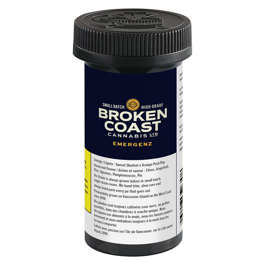 Broken Coast : Emergenz
