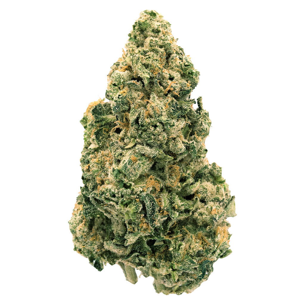 Back Forty - Galactic Jack - 7G