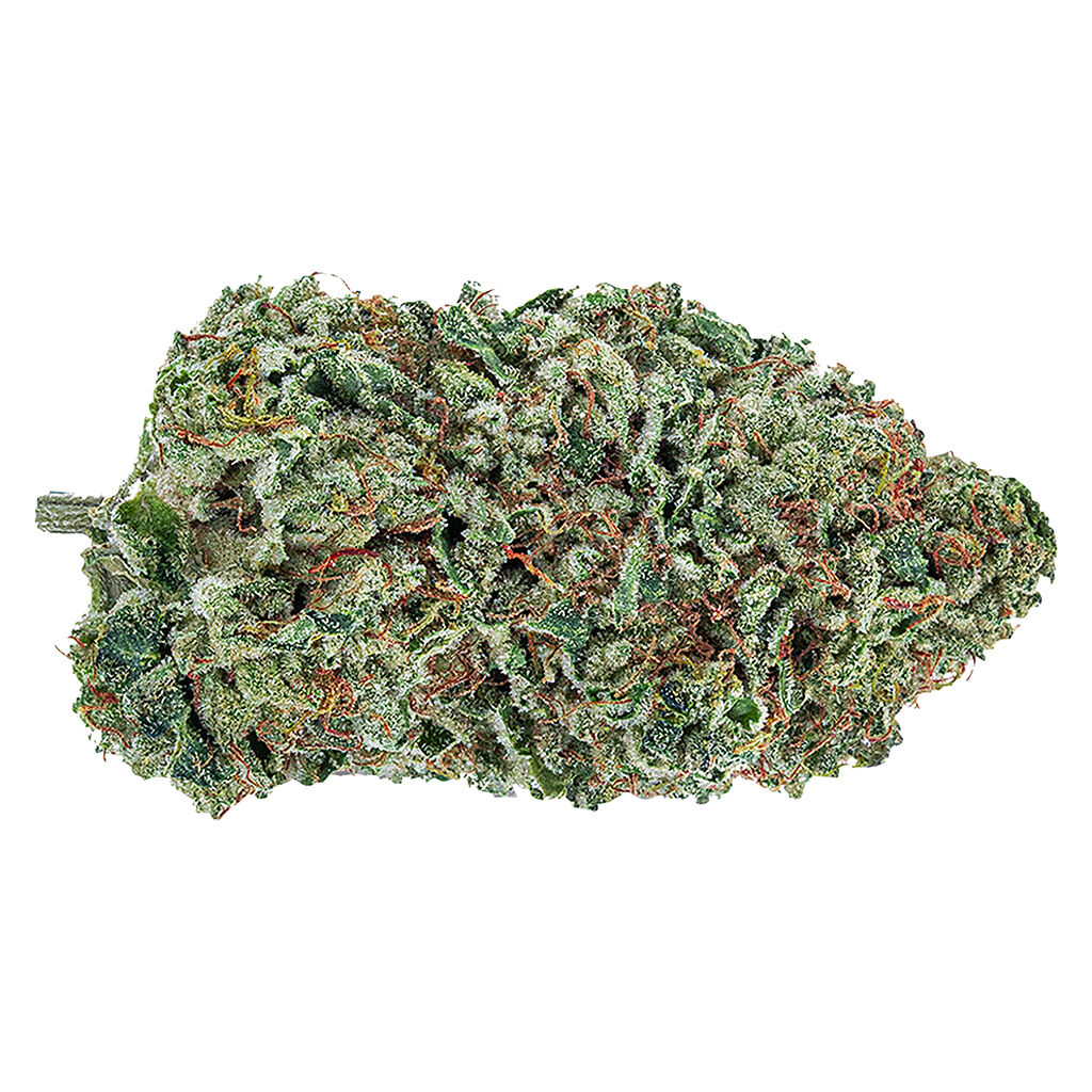 The Green Organic Dutchman - Organic Maple Kush 14G - Indica 14G