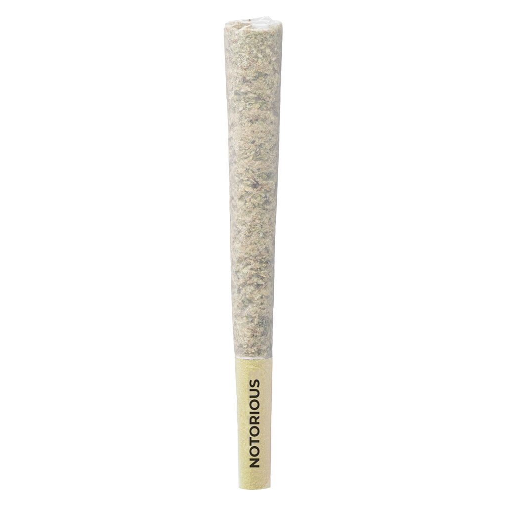 PISTOL AND PARIS : NOTORIOUS PRE-ROLL (FACE OFF OG X SFV OG X OG ) - NOTORIOUS PRE-ROLL (1x1g)