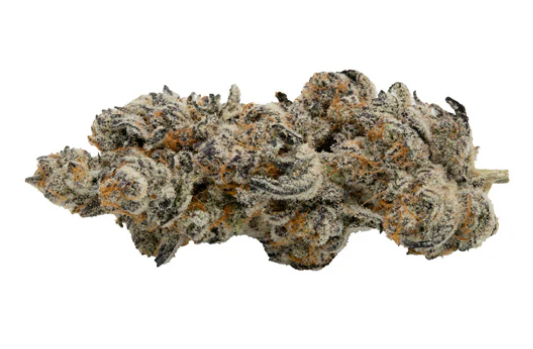 Koots Canna : Interstellar