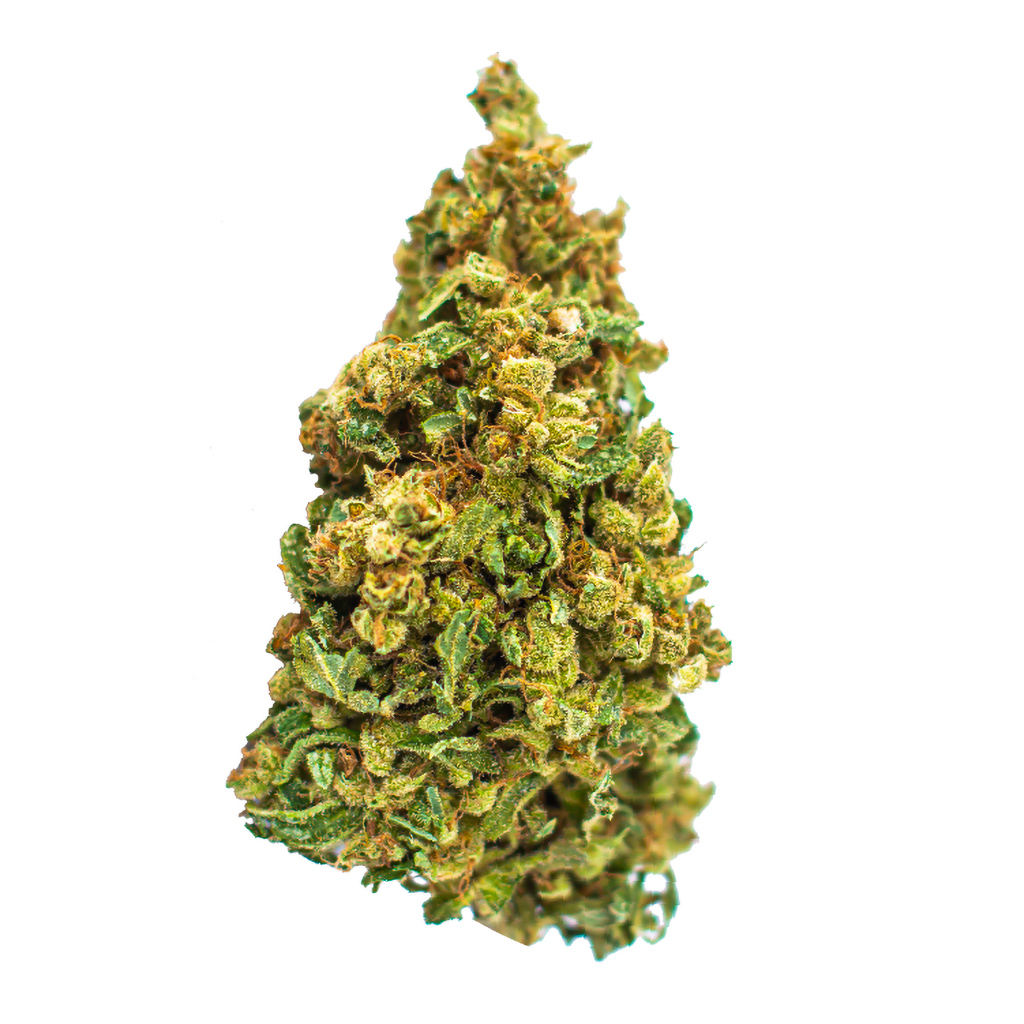 Color Cannabis : PEDRO'S SWEET SATIVA
