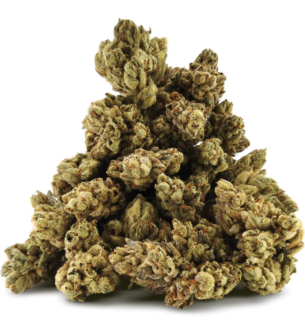 BC OZ : Jean Clouds Van Damme