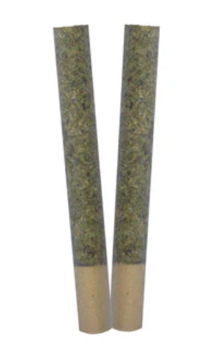 Trygg - Trance Pre-Rolls - Trygg : Trance Pre-Rolls (2x1g)