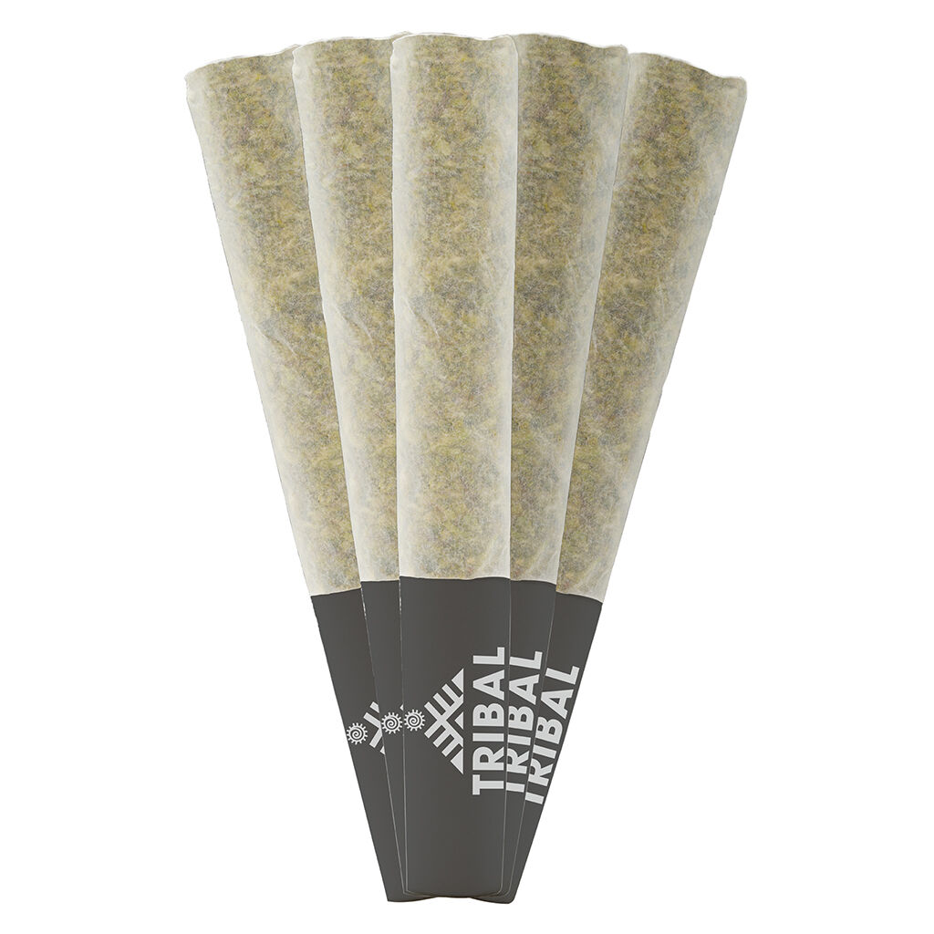 Tribal : Neon Sunshine Pre-Rolls (5pk)