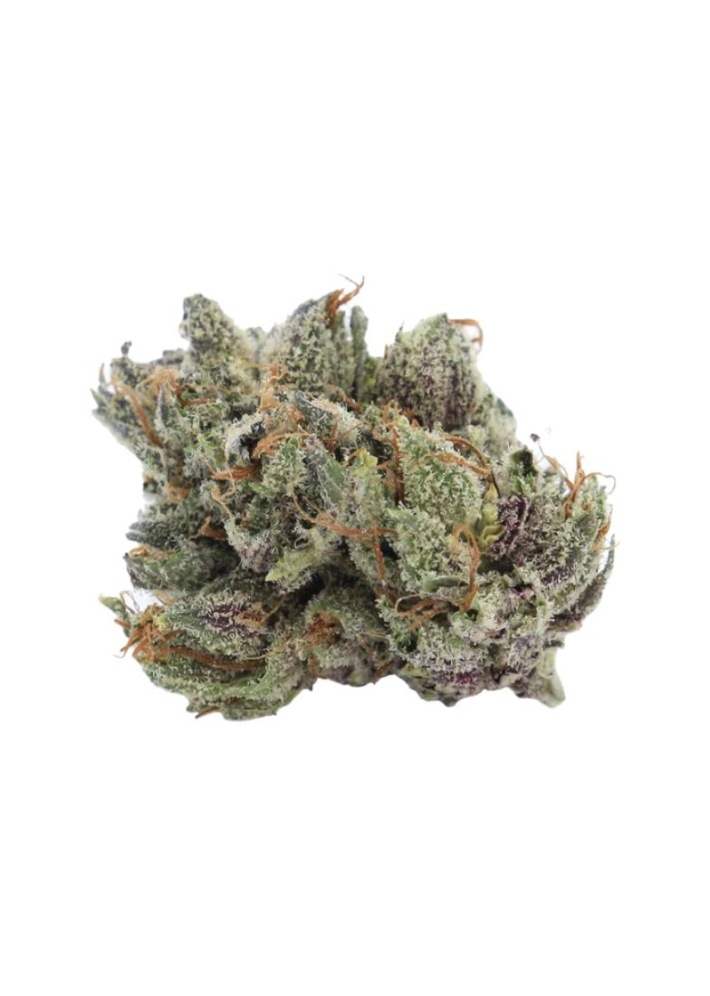 CITOYEN : SOUR DIESEL