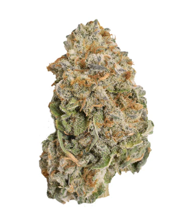 Ripped : Ripped Indica Dried Flower