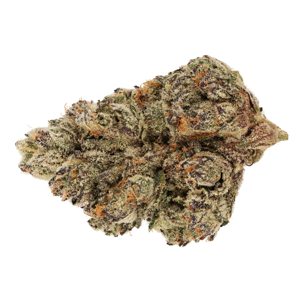 BROKEN COAST : SUNSET SHERBET