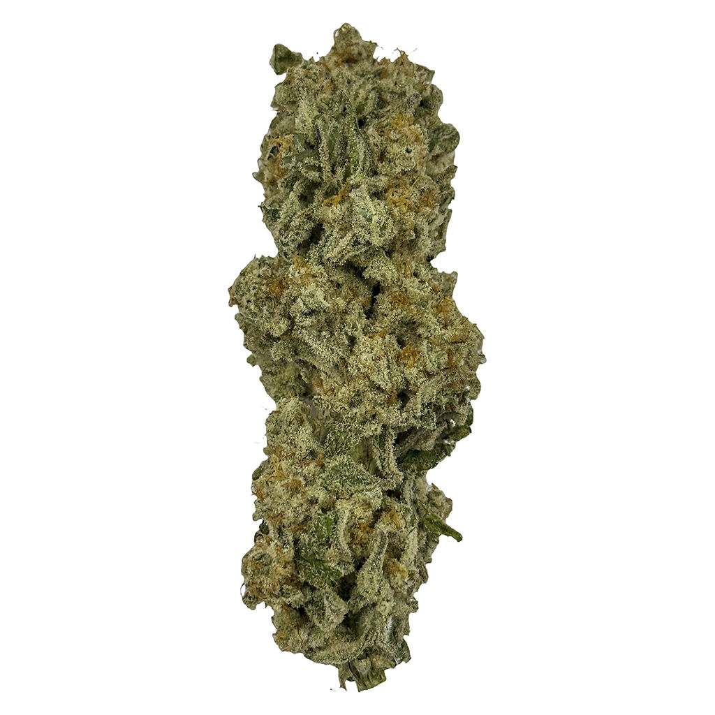 Justkush : Mach 1