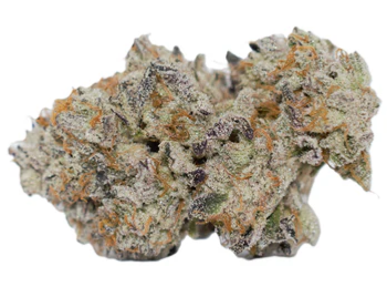 Gas Pack : Pink Waygu Smalls