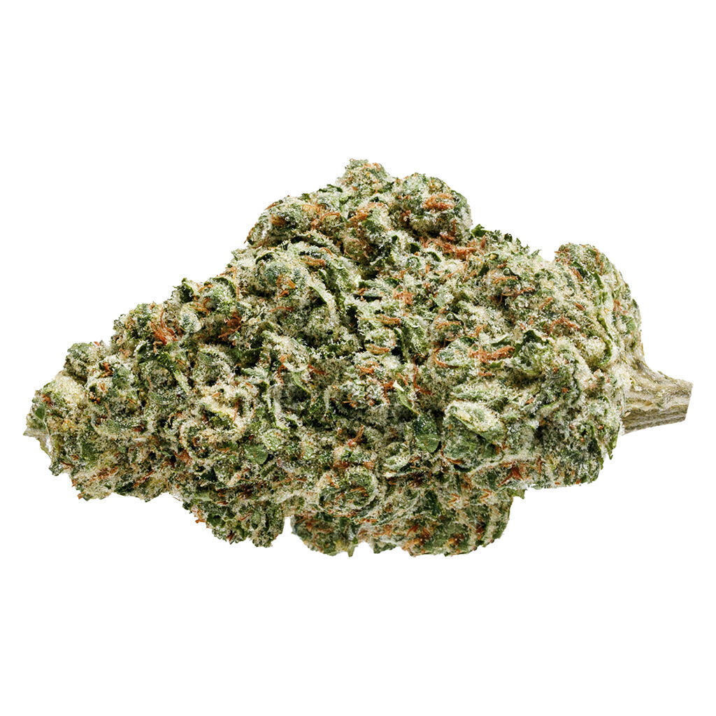 The Original Fraser Valley Weed Co. : White Fire Og