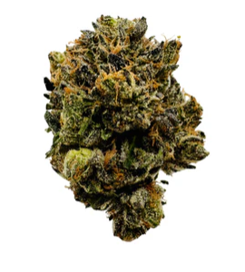 Bc Weed Co. : Rock OG