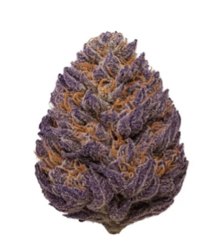 Green Mile Original : Pakistani Kush
