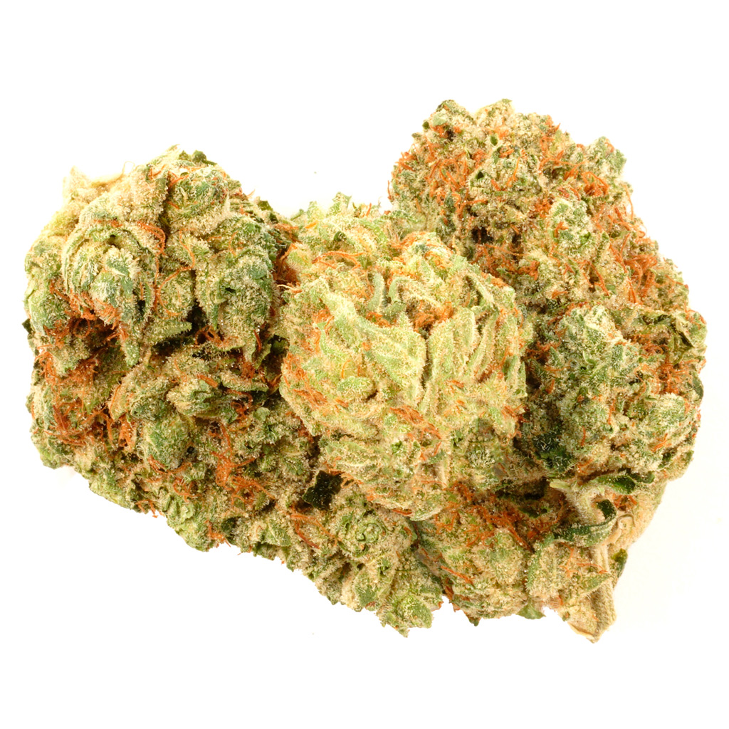 Highland Grow - Cherry Burst -  Hybrid 14G