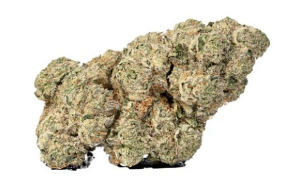 Sheeesh! - Jungle Kush