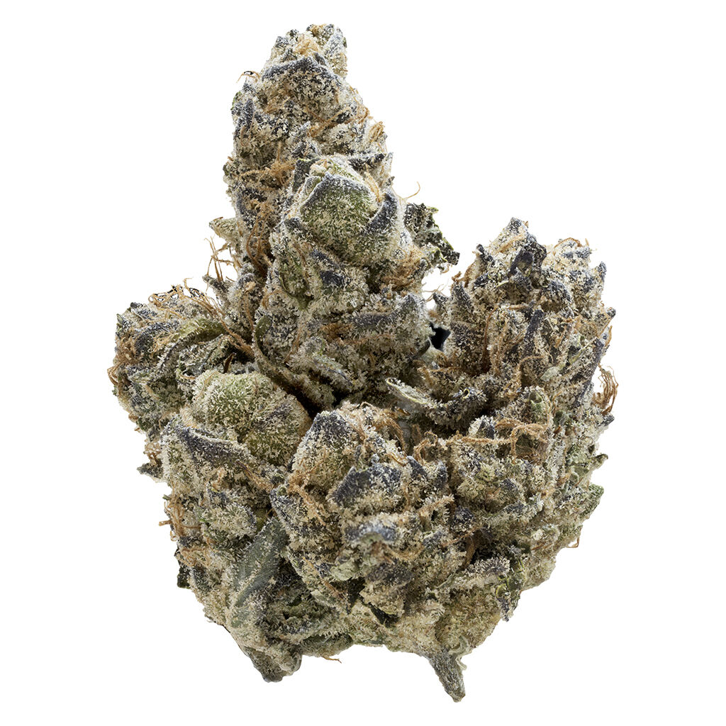 Nugz - Florida Oranges - 7G