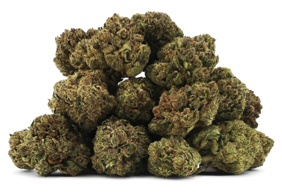 Bc Oz : Pink Fire Lto