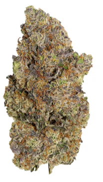 Pistol And Paris : Flavours - Cali Cake Smasher Lto