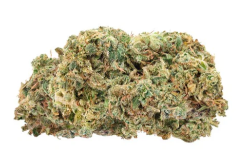 Trailblazer : Fire G13 LTO