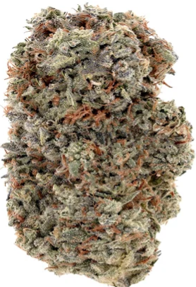 Woody Nelson Country Club : Blue Gumdrops Premium Smalls OTB