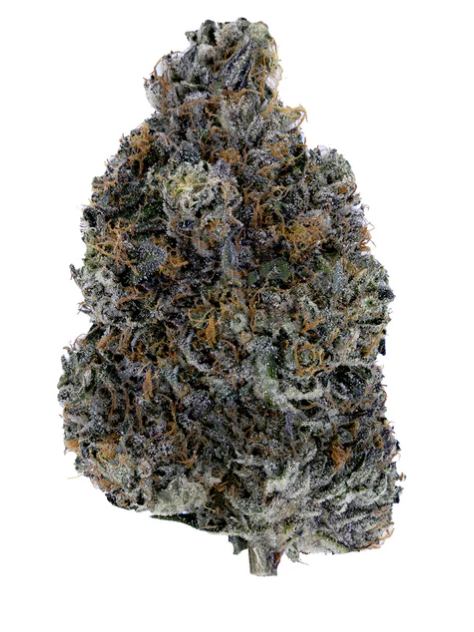 Woody Nelson : Dark Rainbow Craft Flower