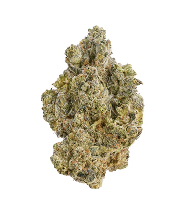 Broken Coast - La Bomba