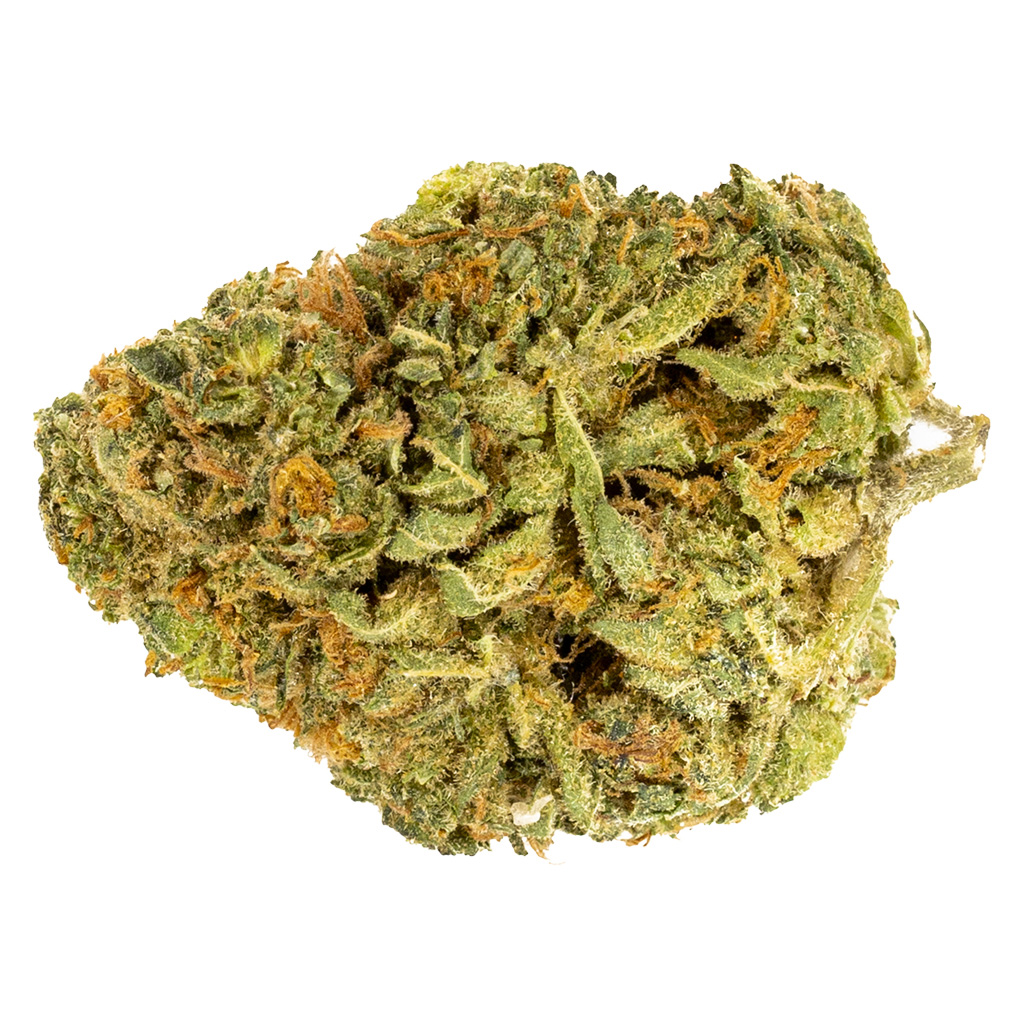 5 POINTS CANNABIS : ZXFPOG