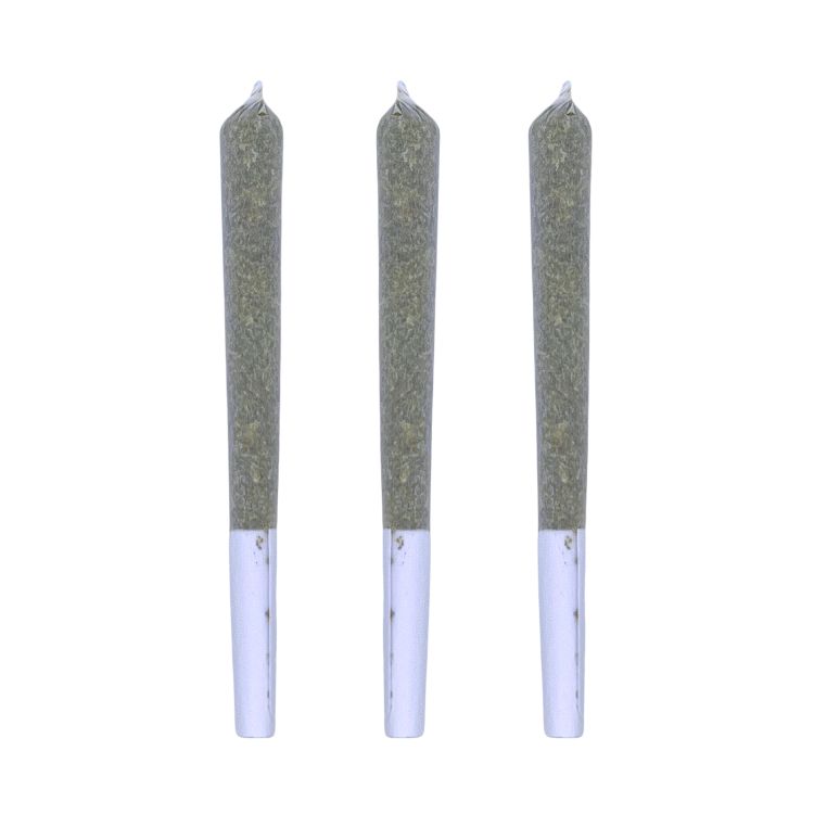 Victoria Cannabis Company : Rainbow Marker Pre-Rolls (3x0.5g)