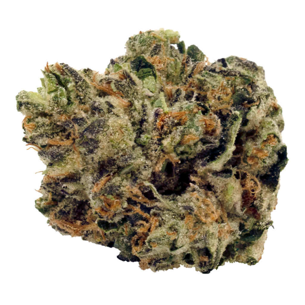 Tweed - Tiger Cake -  Indica 14G