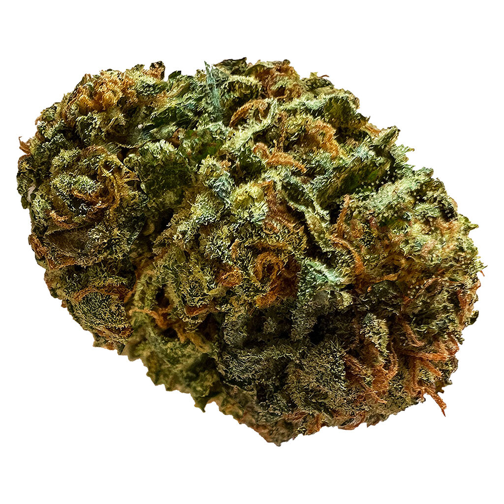 Versus - Death Star - Indica 28G