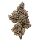 PHYTO FUNK : ORANGE PUSH POP